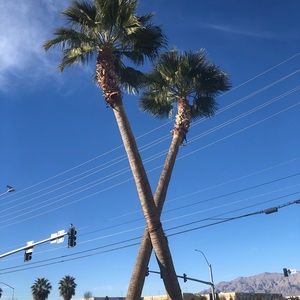 Meet your Posher, Lucy